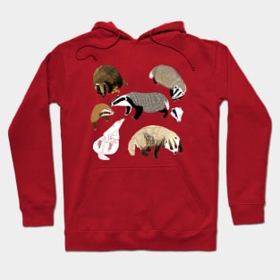 Eurasian Badgers #1 Hoodie